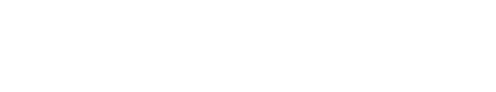 https://sprinttest2.viziglobal.com/